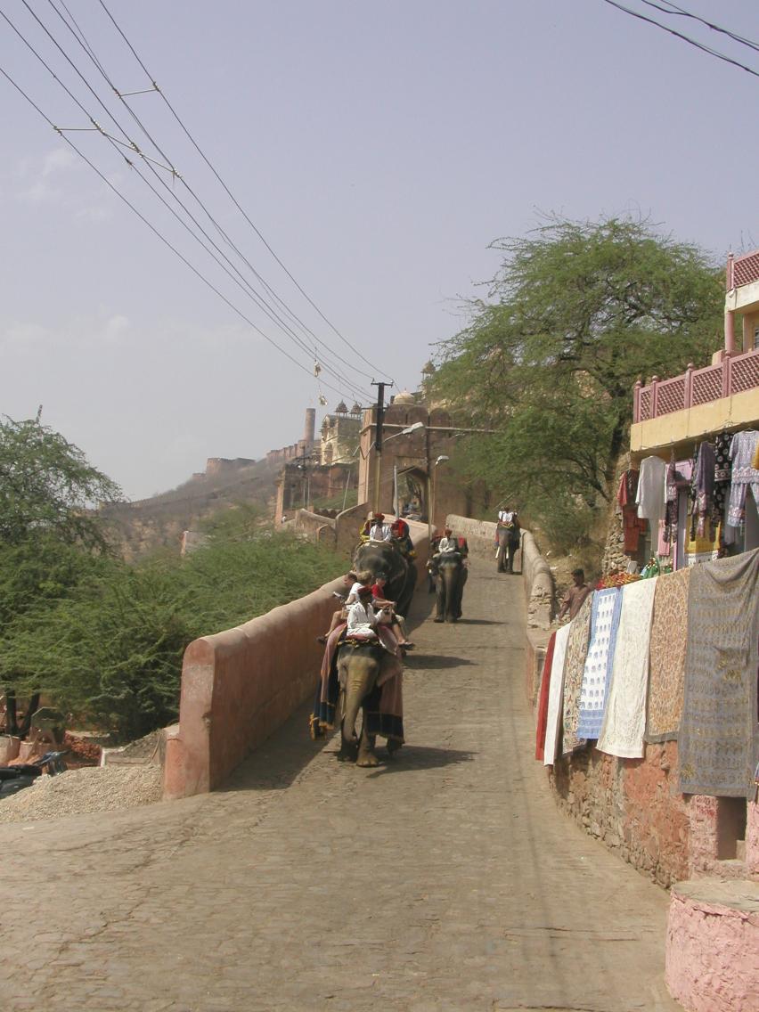 JPEG image - The elephant trail up to Amber fort. ...