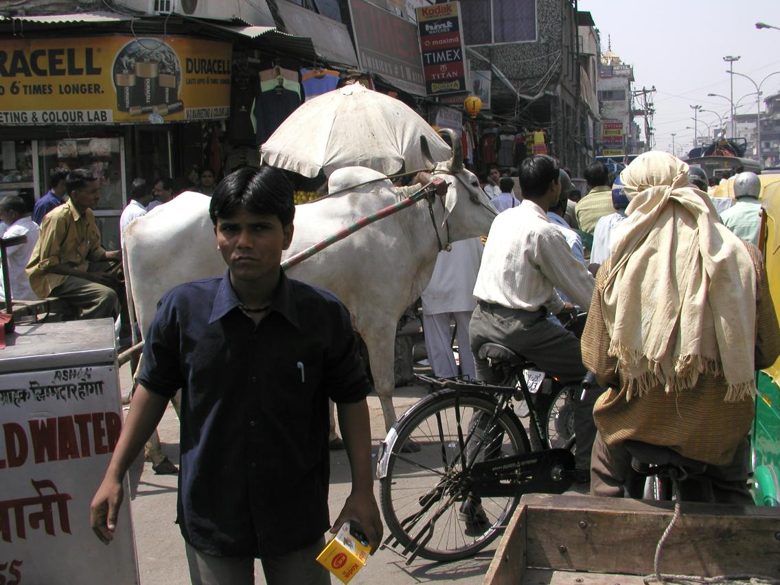 JPEG image - Another picture of a street scene in Old Delhi. Wall to wall people! ...