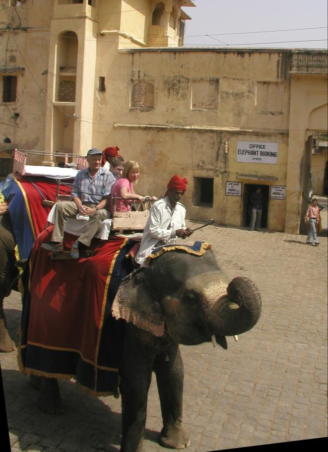 JPEG image - The best way up to the Amber fort is by elephant - though not the most comfortable! ...