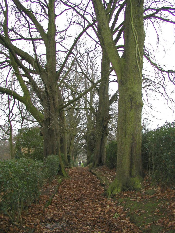 JPEG image - The path to Norley churchyard from Norley Hall ...