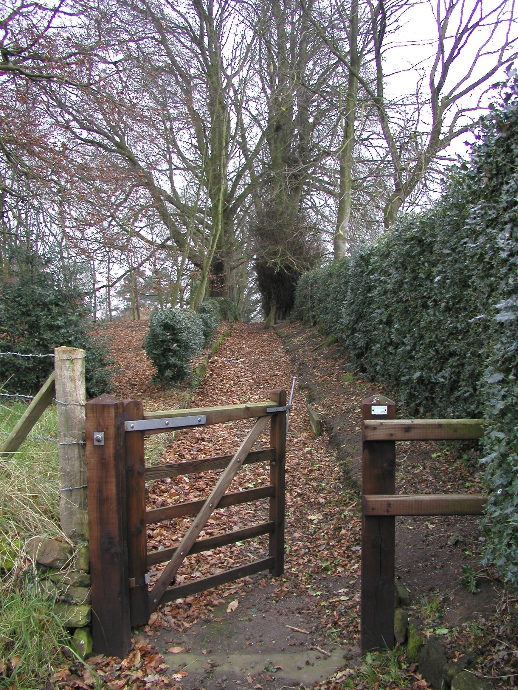 JPEG image - The path from the corner of the graveyard leading towards the hall