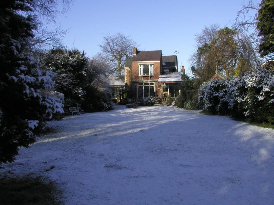 JPEG image - Xmasview of the backgarden ...