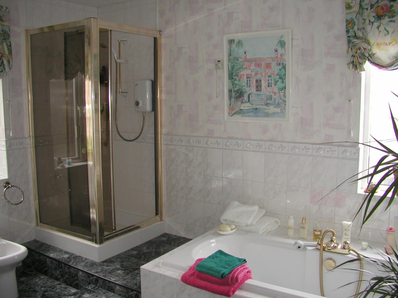 JPEG image - Bathroom now ...