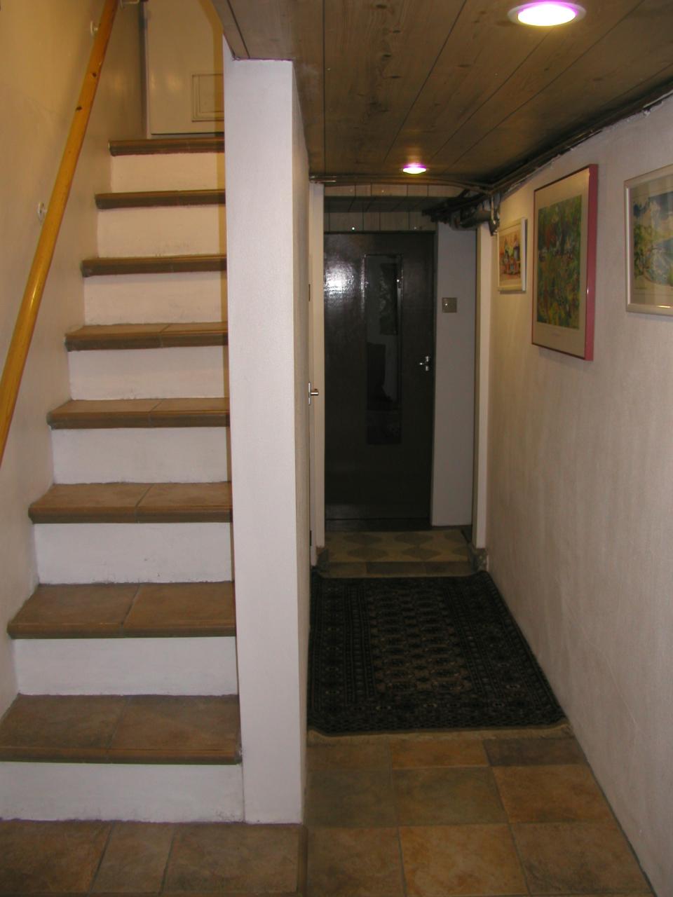 JPEG image - Cellar steps now ...